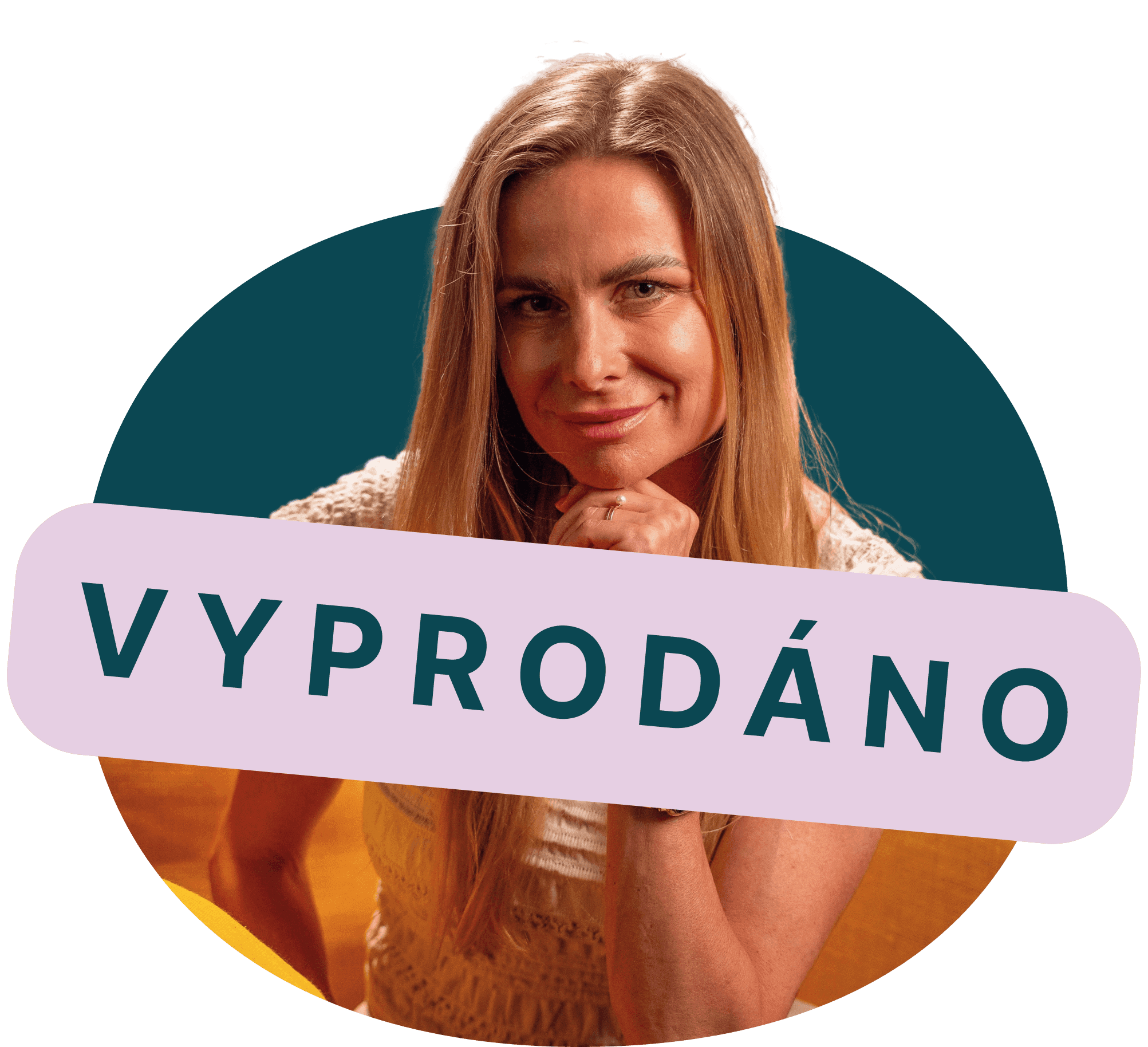 Online kurz s mentoringem